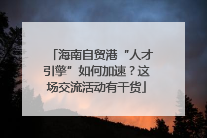 海南自贸港“人才引擎”如何加速？这场交流活动有干货