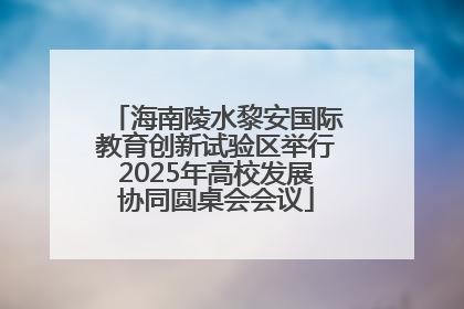 海南陵水黎安国际教育创新试验区举行2025年高校发展协同圆桌会会议
