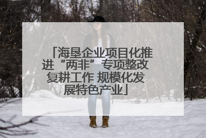 海垦企业项目化推进“两非”专项整改复耕工作 规模化发展特色产业