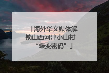 海外华文媒体解锁山西河津小山村“蝶变密码”