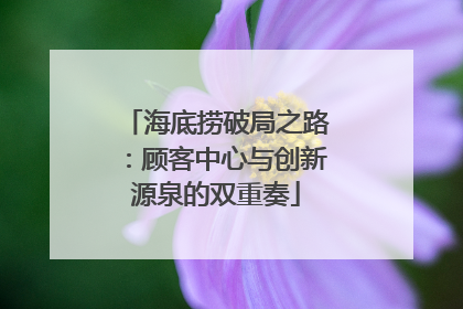海底捞破局之路：顾客中心与创新源泉的双重奏