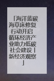 海洋蓝碳海草床修复行动开启 循环经济产业助力低碳社会建设丨新经济观察