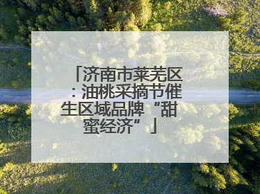 济南市莱芜区：油桃采摘节催生区域品牌“甜蜜经济”