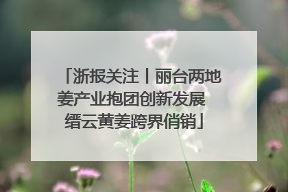 浙报关注丨丽台两地姜产业抱团创新发展 缙云黄姜跨界俏销