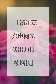 浙江嘉兴电网光伏出力持续增长