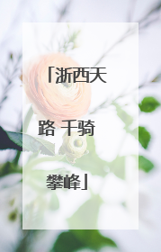 浙西天路 千骑攀峰