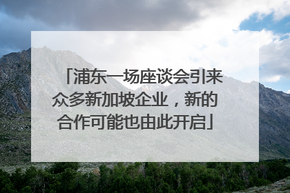 浦东一场座谈会引来众多新加坡企业，新的合作可能也由此开启
