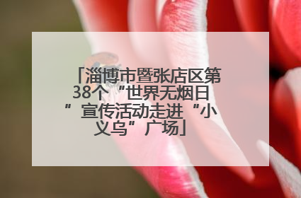 淄博市暨张店区第38个“世界无烟日”宣传活动走进“小义乌”广场