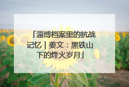 淄博档案里的抗战记忆｜姜文：黑铁山下的烽火岁月