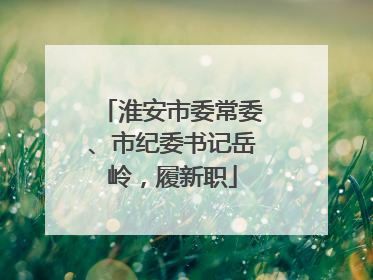 淮安市委常委、市纪委书记岳岭，履新职