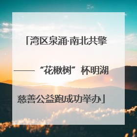 湾区泉涌·南北共擎——“花楸树”杯明湖慈善公益跑成功举办