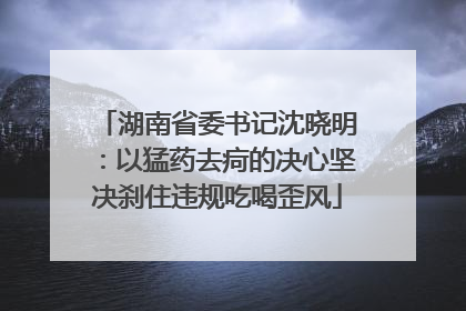 湖南省委书记沈晓明：以猛药去疴的决心坚决刹住违规吃喝歪风