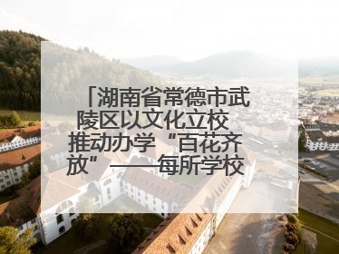 湖南省常德市武陵区以文化立校 推动办学“百花齐放”——每所学校都“精彩”