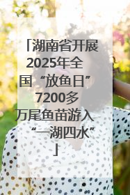 湖南省开展2025年全国“放鱼日” 7200多万尾鱼苗游入“一湖四水”