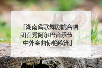 湖南省歌舞剧院合唱团首秀阿尔巴音乐节 中外金曲惊艳欧洲