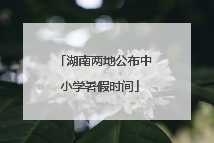 湖南两地公布中小学暑假时间