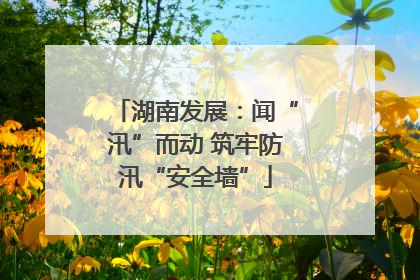 湖南发展：闻“汛”而动 筑牢防汛“安全墙”