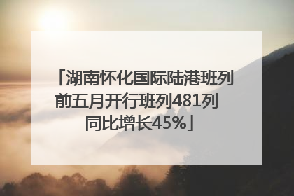 湖南怀化国际陆港班列前五月开行班列481列 同比增长45%