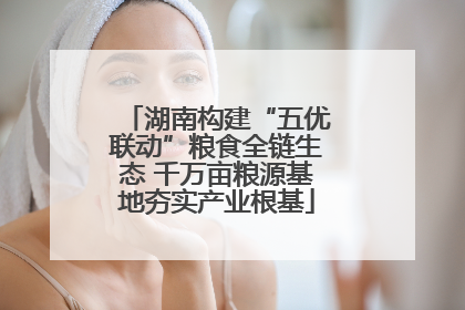 湖南构建“五优联动”粮食全链生态 千万亩粮源基地夯实产业根基