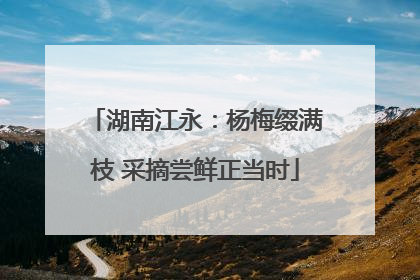 湖南江永：杨梅缀满枝 采摘尝鲜正当时