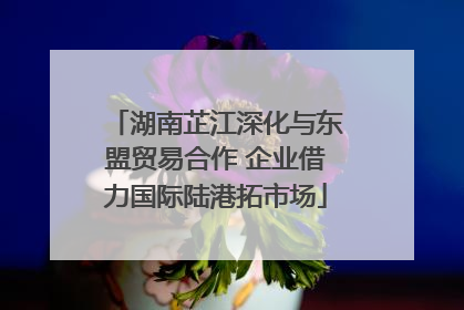湖南芷江深化与东盟贸易合作 企业借力国际陆港拓市场