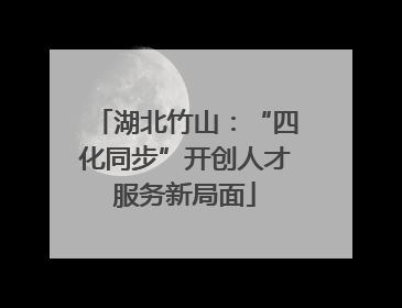 湖北竹山：“四化同步”开创人才服务新局面