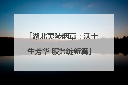 湖北夷陵烟草：沃土生芳华 服务绽新篇
