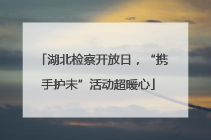 湖北检察开放日，“携手护未”活动超暖心