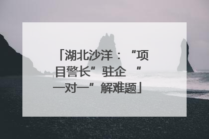 湖北沙洋：“项目警长”驻企 “一对一”解难题