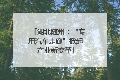 湖北随州：“专用汽车走廊”掀起产业新变革