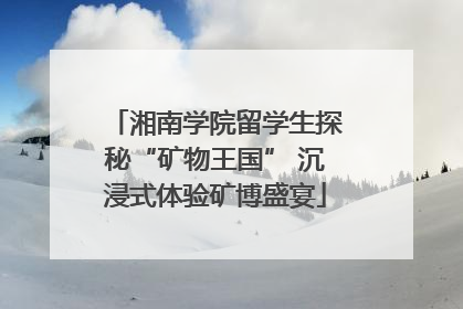 湘南学院留学生探秘“矿物王国” 沉浸式体验矿博盛宴