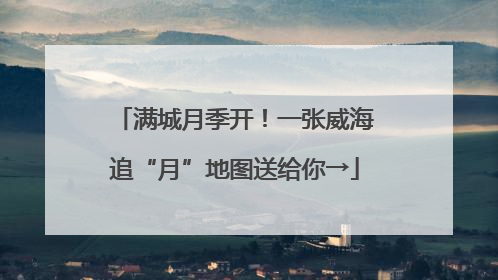 满城月季开！一张威海追“月”地图送给你→