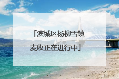 滨城区杨柳雪镇麦收正在进行中