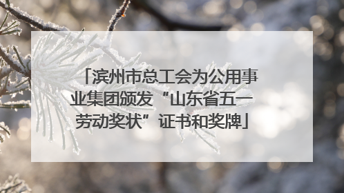 滨州市总工会为公用事业集团颁发“山东省五一劳动奖状”证书和奖牌