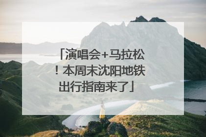 演唱会+马拉松！本周末沈阳地铁出行指南来了