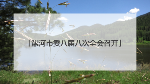 漯河市委八届八次全会召开