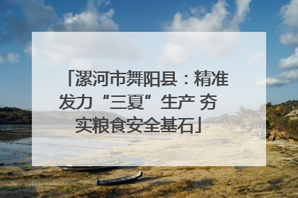 漯河市舞阳县：精准发力“三夏”生产 夯实粮食安全基石