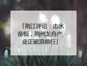 荆江评论：击水奋楫，荆州龙舟产业正破浪前行