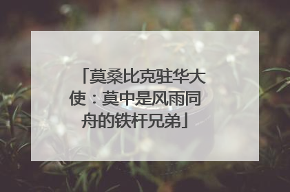莫桑比克驻华大使：莫中是风雨同舟的铁杆兄弟