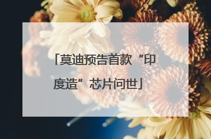 莫迪预告首款“印度造”芯片问世