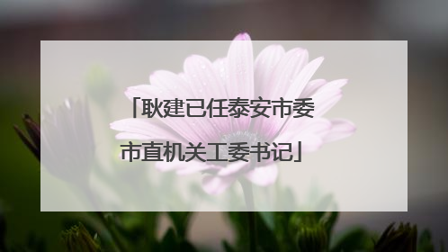 耿建已任泰安市委市直机关工委书记
