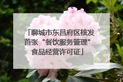 聊城市东昌府区核发首张“餐饮服务管理”食品经营许可证
