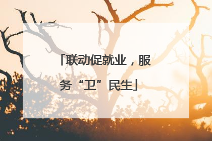 联动促就业，服务“卫”民生