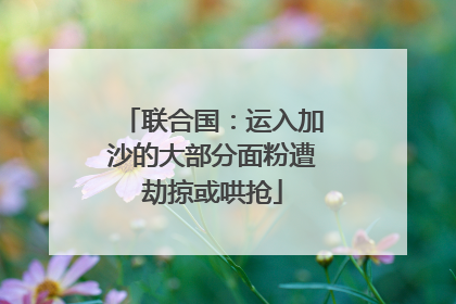 联合国：运入加沙的大部分面粉遭劫掠或哄抢