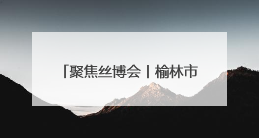 聚焦丝博会丨榆林市榆阳区组团参加第九届丝绸之路国际博览会暨中国东西部合作与投资贸易洽谈会