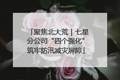 聚焦北大荒｜七星分公司“四个强化”筑牢防汛减灾屏障