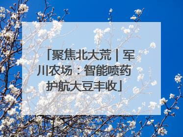 聚焦北大荒｜军川农场：智能喷药护航大豆丰收
