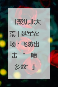 聚焦北大荒｜延军农场：飞防出击 “一喷多效”