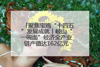 聚焦宝鸡“十四五”发展成就丨岐山“一碗面”经济全产业链产值达162亿元 入选全国典型县