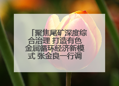 聚焦尾矿深度综合治理 打造有色金属循环经济新模式 张金良一行调研栾川县尾矿库综合治理工作